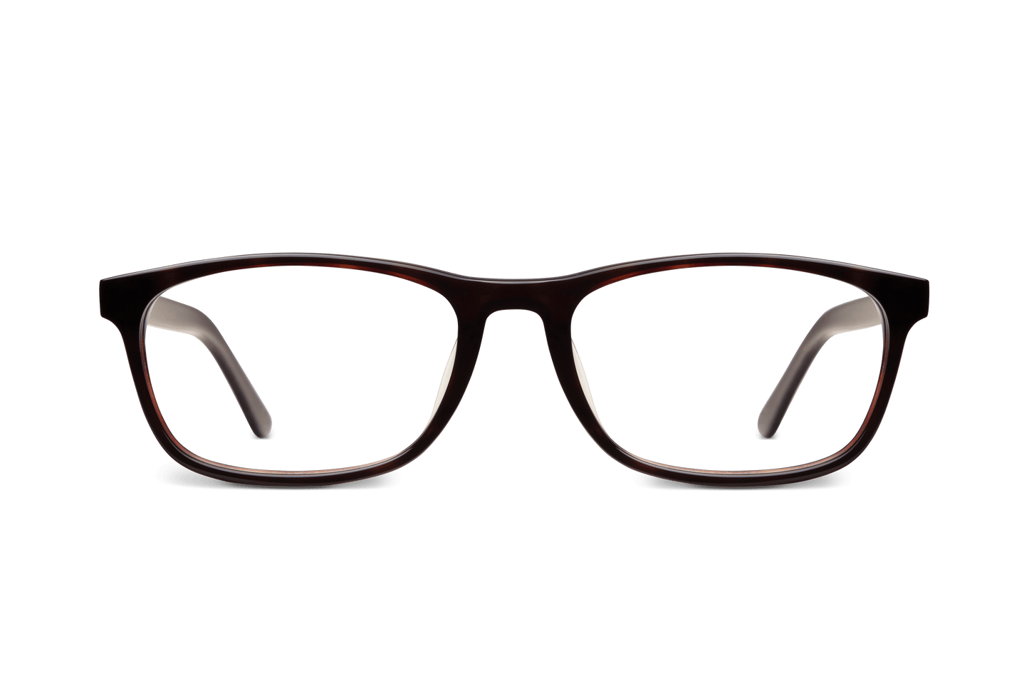 Archive SKOGSSTJÄRNA