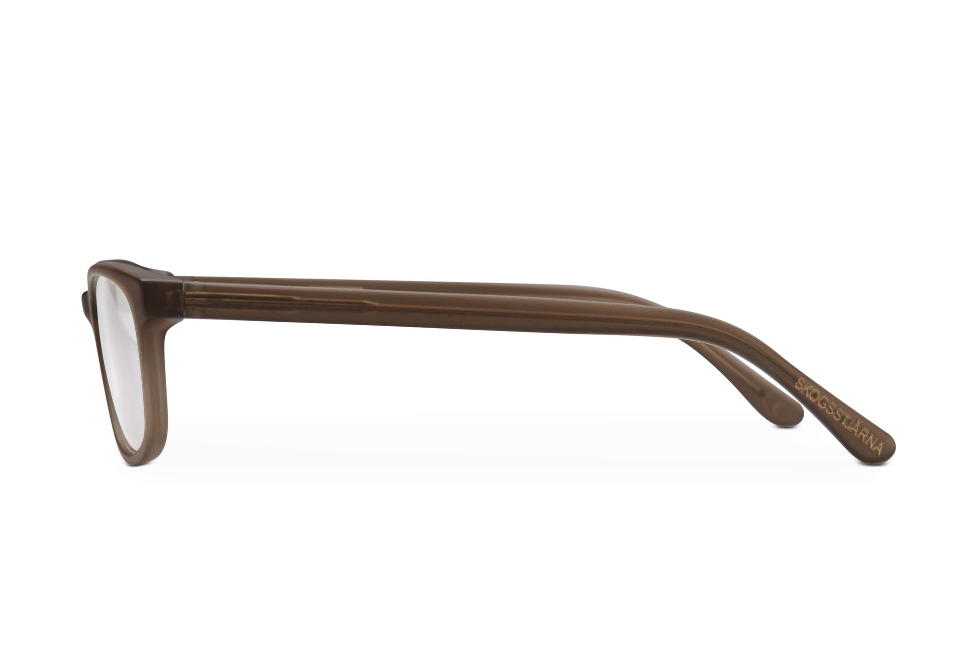 Archive SKOGSSTJÄRNA