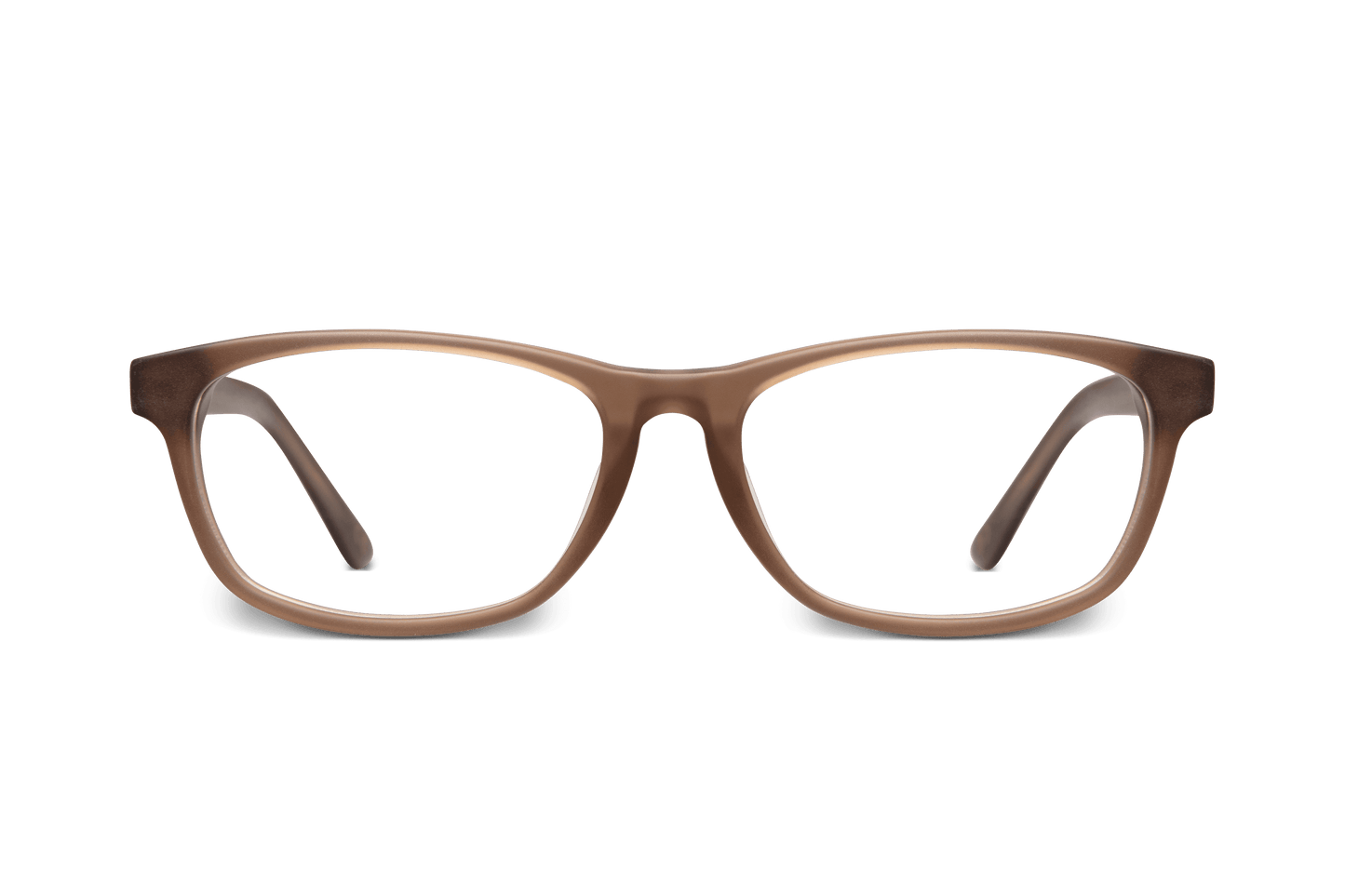 Archive SKOGSSTJÄRNA