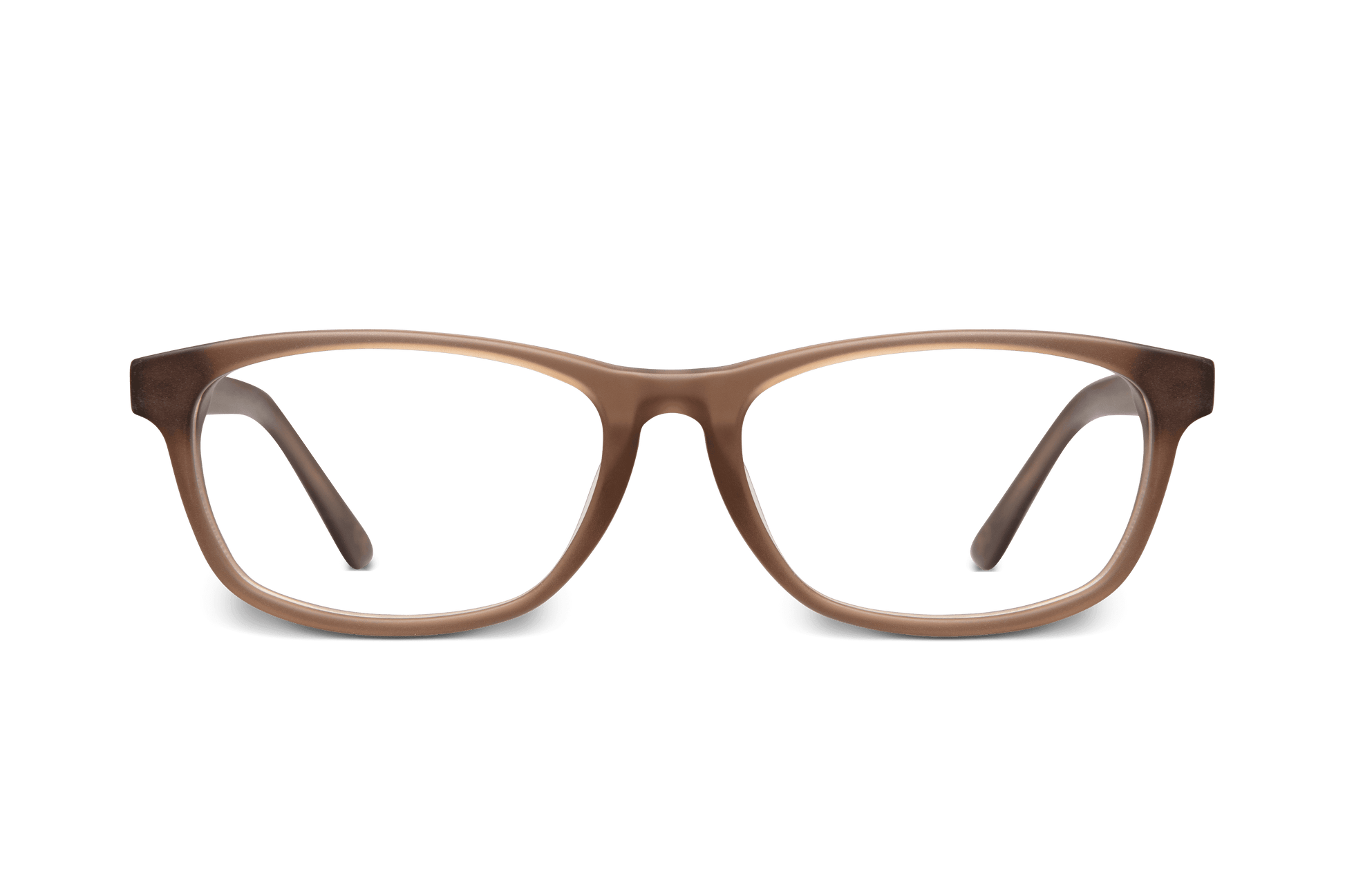 Archive SKOGSSTJÄRNA