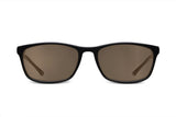 Northern Black / Brown Lens