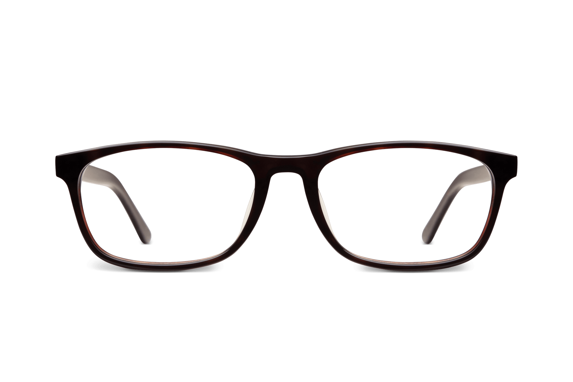 Archive SKOGSSTJÄRNA