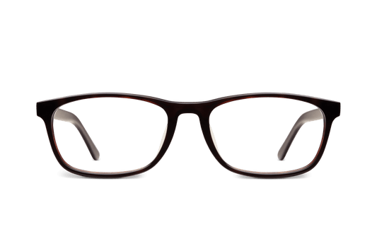 Archive SKOGSSTJÄRNA